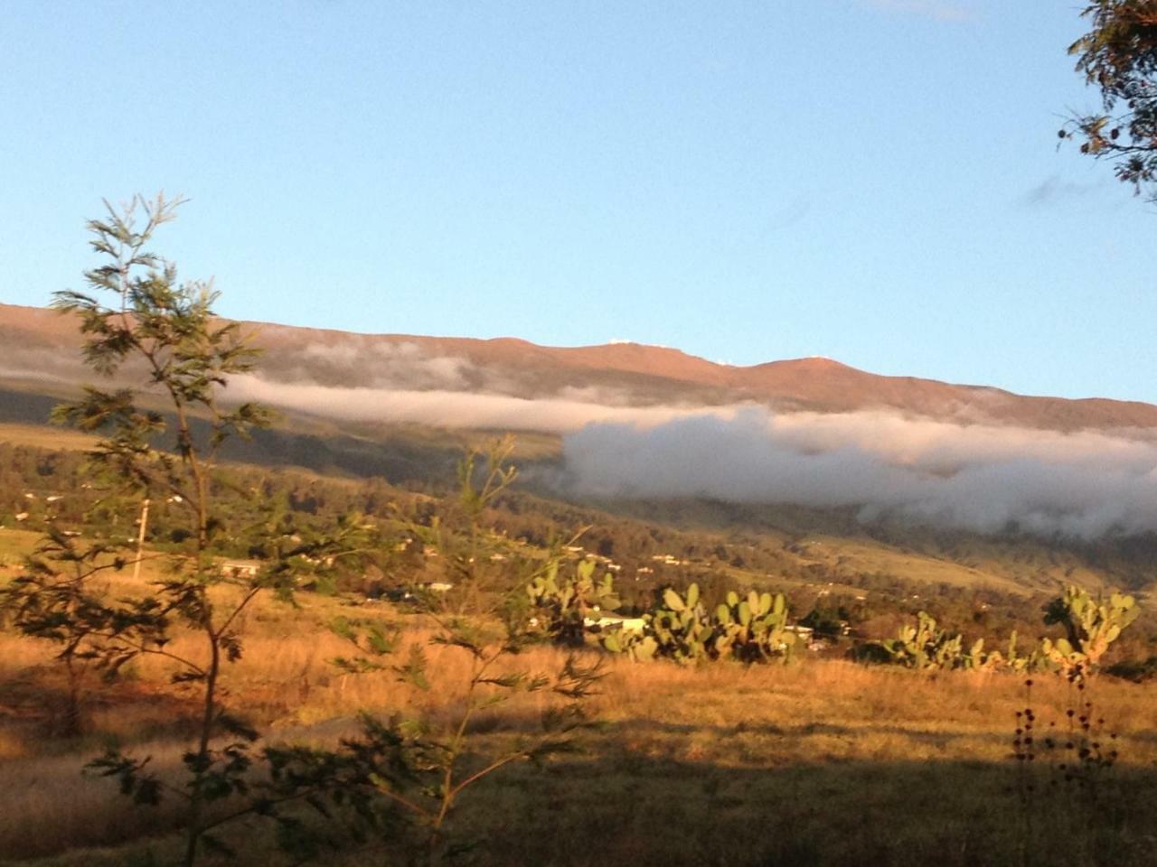 Ha'Le Kiana Bed & Breakfast Kula Exterior photo